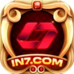 IN7 Game